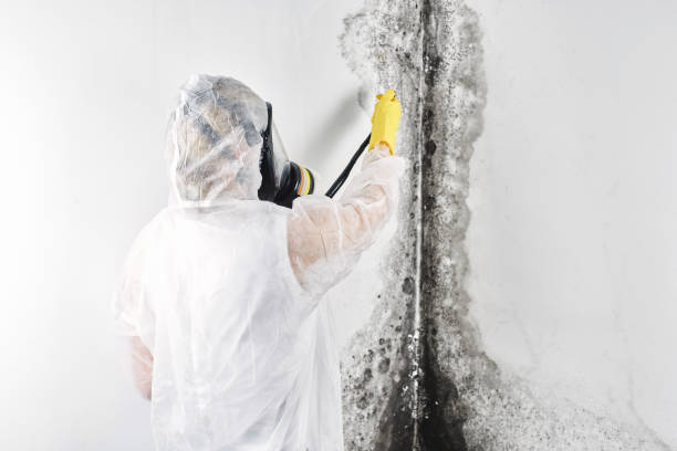 Best Water damage restoration cost  in USA